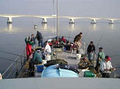 Zeevissen bij de Zeelandbrug